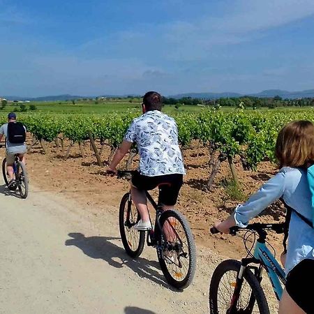 Tina De Vila, En La Capital Del Vino Vilafranca del Penedès Zewnętrze zdjęcie
