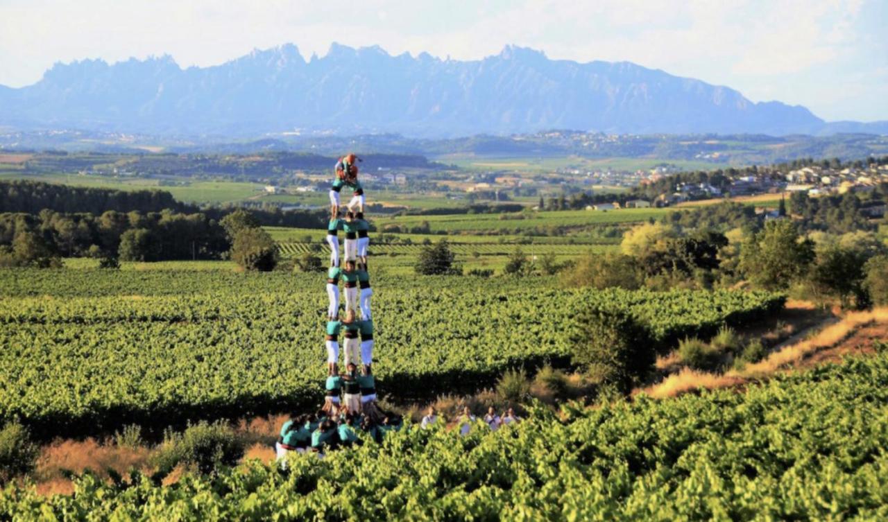 Tina De Vila, En La Capital Del Vino Vilafranca del Penedès Zewnętrze zdjęcie