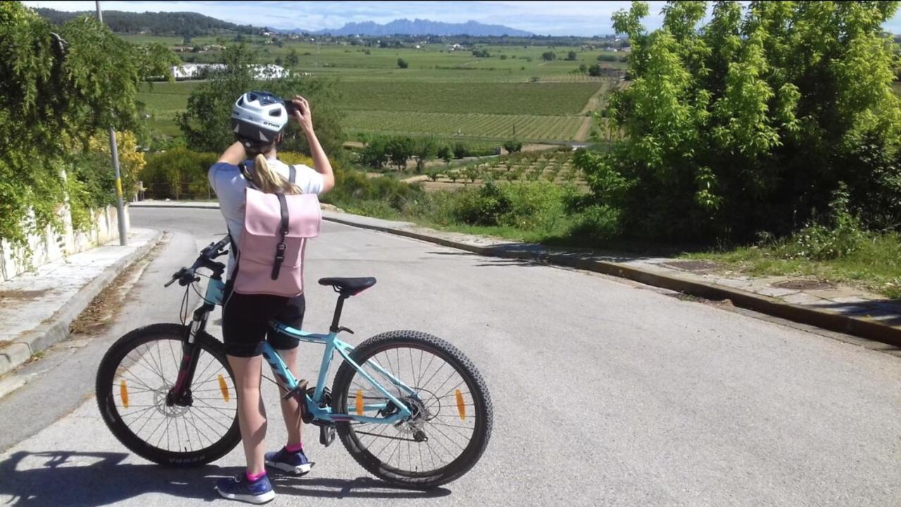 Tina De Vila, En La Capital Del Vino Vilafranca del Penedès Zewnętrze zdjęcie